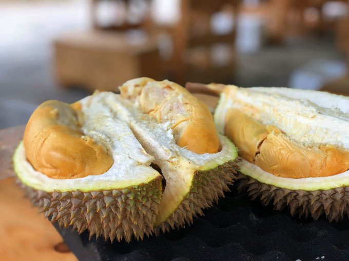 マレーシア名物のフルーツの王様ドリアン 新鮮な果実の様子