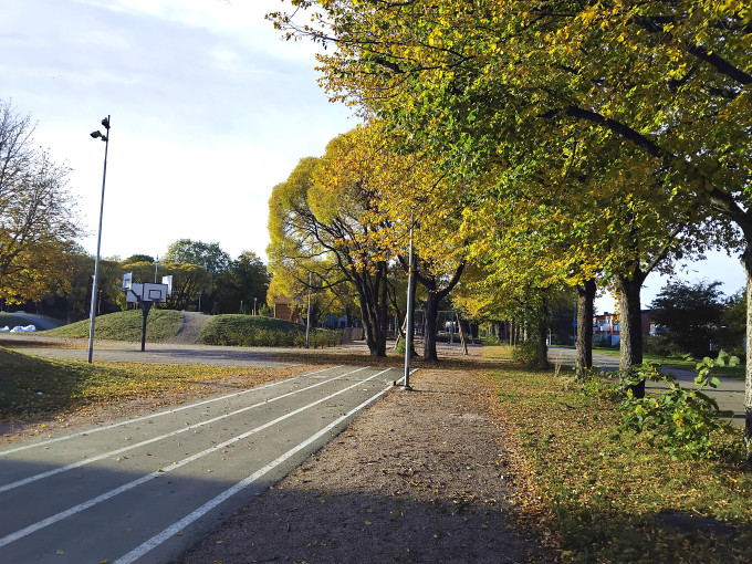 スウェーデンの学校の敷地