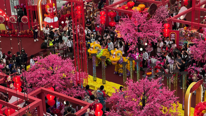 春節のマレーシアのショッピングモールで披露されるライオンダンス(獅子舞)